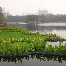 无锡市人工浮岛材料 绿化效果图 漂浮湿地