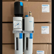 FESTO ѹ LR-1/4-D-7-O-MINI 162599 ˹ ȫ 