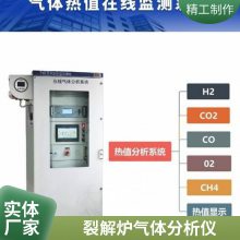 正压防爆机柜防爆型抽取式气体分析仪WX-3000Ex 连续输出监测数据
