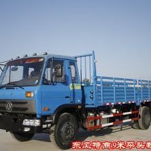 B2证货车教练车 平头教练车价格厂家直销