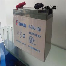 6-CNJ-10012v100ah·̫