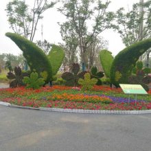 2022年喜庆的关于春节氛围打造的植物花雕怎么制作