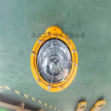 Ͷ: DGS70/127L ֡ LED