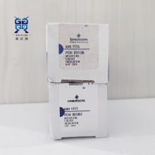 ĬAMI-1TT11ҕҺR35mm060255ָʾ