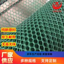灿麟植物育苗网 绿色家禽漏粪网 养鸡防护脚踩网