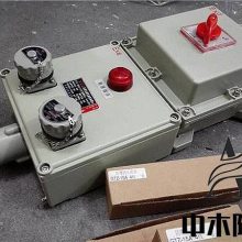 dip粉尘防爆电源插座箱厂家按图纸定做