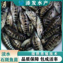 糡 ˮʯ ṩֳָ