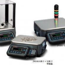 电子台秤/计数秤 5LB 型号:TK477-ZK830 库号：M59088