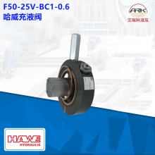 Hawe F50-25V-BC1-0.6 Һy