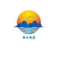 衡水海晨新材料科技有限公司