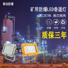 LEDСʷͶ-ӡȾ֧ʽBFD8140-50W̶LED-