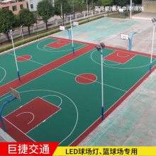 南昌路灯厂 市电220V接电LED户外防水照明 可接入智能操作系统