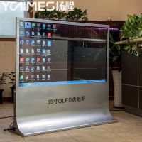 P(yng)49L(zhng)l͸OLED ͸OLED OLED͸չ 2024͸