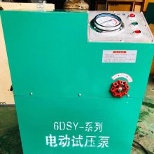 4GSY大流量电动试压泵4DSY-100电动试压泵用途上海洛集厂家直销