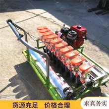 生产自走式汽油播种机 谷子单粒精播机 手扶播种机厂家