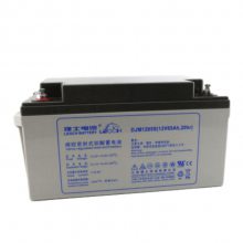 ʿ12V150AH LEOCH DJM12150S ܷʽ ̶ ά