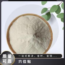 食品级椰子粉/椰子浓缩汁粉生产厂家 椰子提取物增味