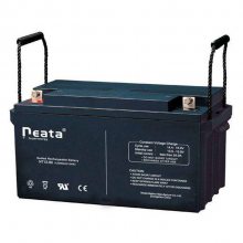 能特蓄电池NT12-65 neata铅酸蓄电池12V65AH直流屏 配电柜 机房储能电源