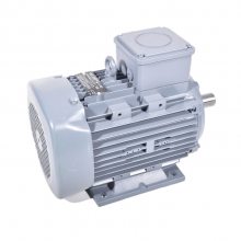 E-SCHAEFERTE Q3E FA 132 M2A