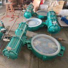 D671F46-10C DN250 Լе ֳķ͸ʴ