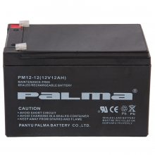 PM100-12 ʽǦ12V100AHѹ