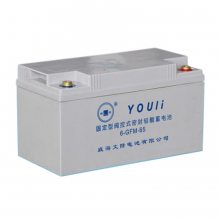 有利阀控式密封铅酸蓄电池GFM-200 2V200AH 威海文隆电池EPS/UPS电源配套