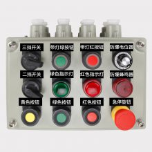 ѹ ExdBT4-IP54-WF2Ǳ궨
