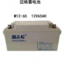 M12-65 12V65AH M&G ƿŵԴҽ