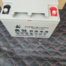 ¹6-GFMJ-24 12V24AH  ̫ܴ UPS󱸲ϵԴ