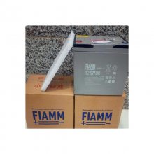 FIAMM112FGH22ʽǦ12V5AH佰ϵͳUPSԴ