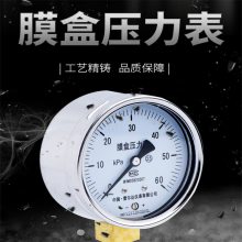 YE100膜盒压力表0-6/10/16/25/40/60KPA天然气燃气千帕表