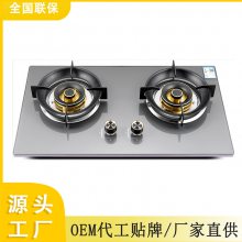 嵌入式双灶，专做OEM/ODM，经典款式，新款，欢迎咨询。