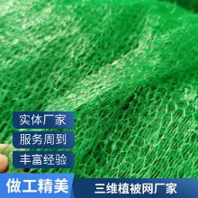 麦克加筋垫 EM3三维植被网 世杰植草固土网垫 用于促植物生长