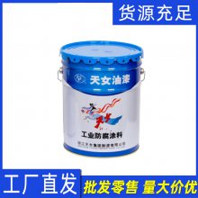 天女油漆环氧富锌底漆 钢结构金属防腐防锈涂料环氧富锌漆