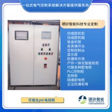 硒砂成套出厂 可视化PLC电气控制柜 外观冷轧钢喷塑监控柜