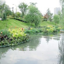 长沙河道底泥改良剂 黑臭河水质改良剂