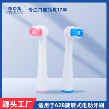 电动牙刷头植毛加工定制 小圆头旋转式中软毛替换刷头加工 深圳牙刷植毛工厂 刷头植毛