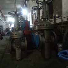 ޵Һʯúբ Z43WF-25P DN300 304ֶƽբ