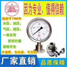 雪浪隔膜压力表Y-60/100/150ML(MF) -0.1～0.06MPa