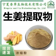 生姜提取物 姜辣素1% 生姜粉 浓缩汁粉 速溶 150目