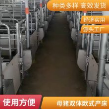 养猪场 新型母猪双体产床 提高育种效果 降低操作难度 宸友畜牧