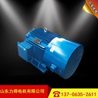 YVP-225M-4/45kw첽 YVPϵбƵٵ綯 Ƶ