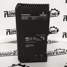 EMERSON SM-PROFIBUS DP-V1 ϵͳ