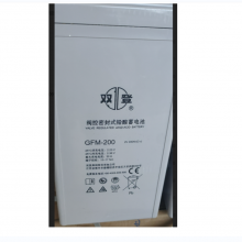 ˫ ܱʽǦ GFM-200 (C10)