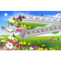 ֱled5050Ӳ ѹ 鱦 չ DC12V 24V ˮ