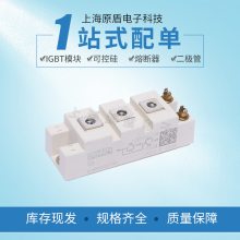 ֱSKM100GB176DſIGBTģ