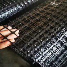 西安塑料土工格栅养殖网围栏网-聚乙烯土工格栅养殖脚垫网现货批发