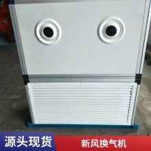 吊顶式新风换气机 中央空调净化新风机组 实力商家商业楼用 热回收新风换气机