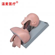ҽ ҽѧģ ѵ ڱǻṹ Ȳģ