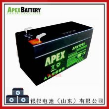 美国APEX蓄电池APX645安全系统 UPS不间断电源6V-4.***H免维护电池